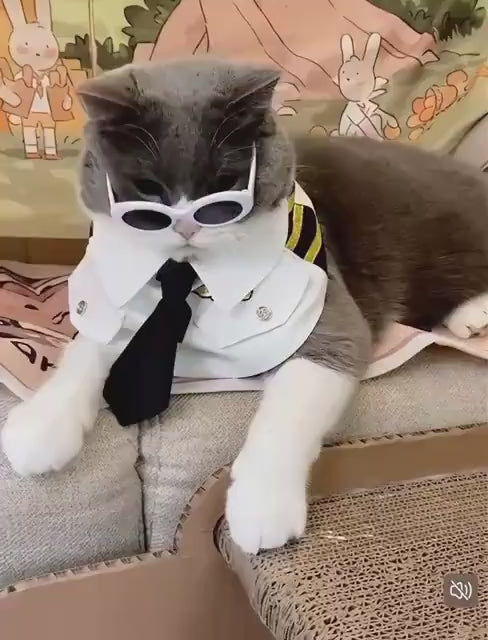 Pilot Dog Costume Bandana – Funny Aviator Outfit, Pet Cosplay